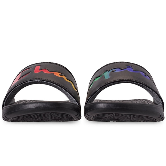 NIB Champion Slides - Picture 5 of 11